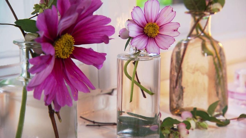 Vasen, Blumen, Wohnacessoire, Cosmeen, glas
