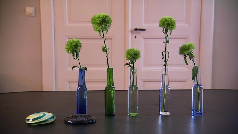 Blumendeko, kleine Vasen, Wohnaccessoire, Farben