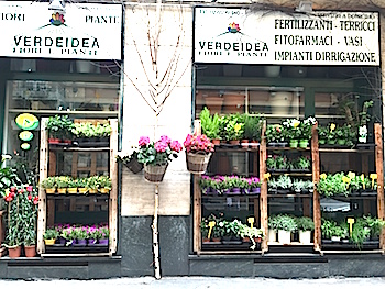 Flower Shop Milano