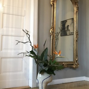 feireiss location Arrangement mit Strelitzien in moderner Keramikvase. Goldener neobarocker Spiegel.