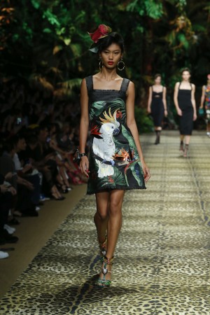 Dolce & Gabbana Sommer 2020 Sommerkleid von Dolce & Gabbana mit Kakadu